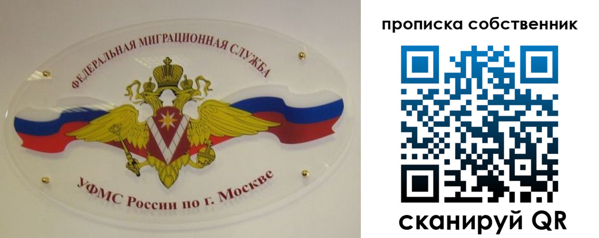 прописка 2025 в Заполярном
